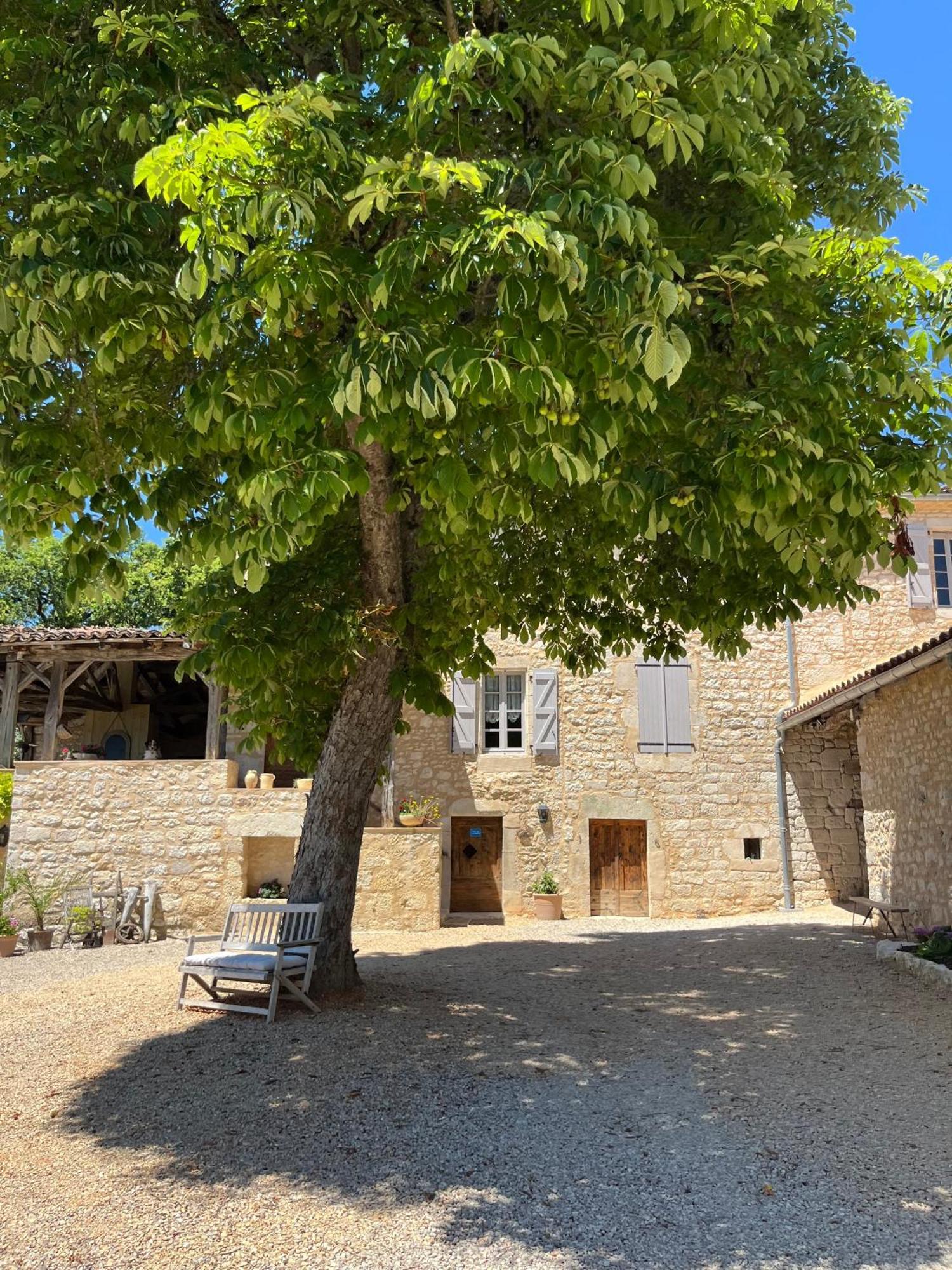 Maison D'Hotes De La Boissiere Andillac Екстер'єр фото